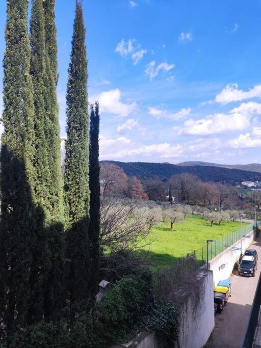 Poiana - Vacanze Del Falco